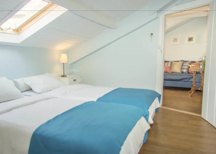 Goodmorning Solo Traveller אכסניה