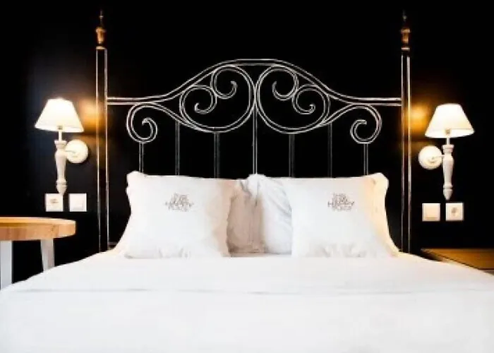 Goodmorning Solo Traveller *