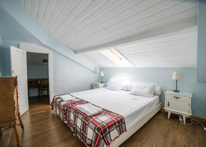 Goodmorning Solo Traveller אכסניה *